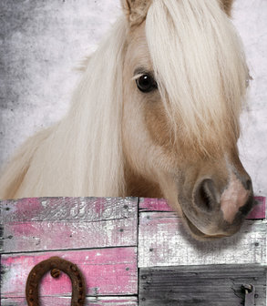 Poster (zelfklevend) paard detail